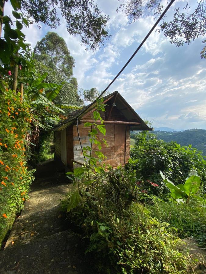 Eco Lodge La Juanita Manizales Bagian luar foto