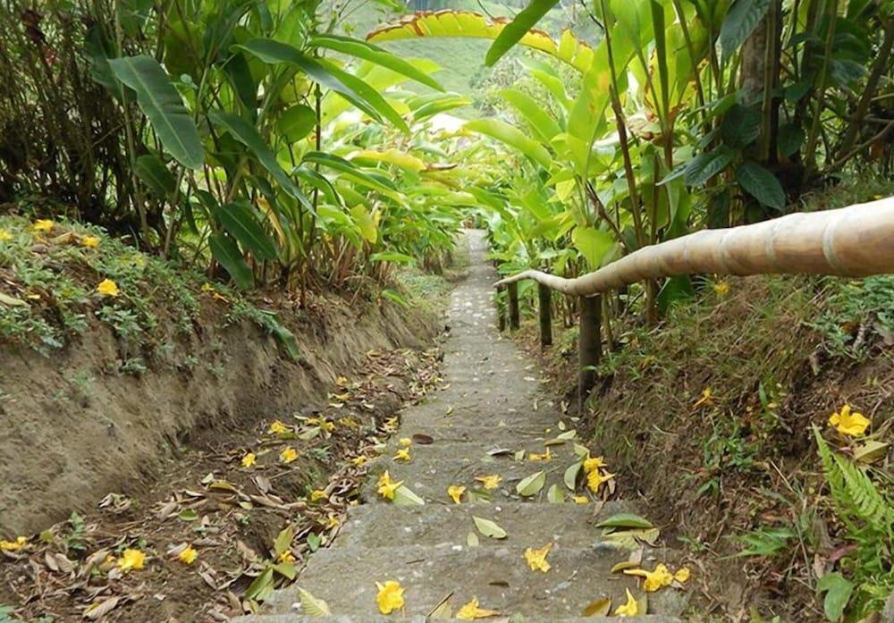 Eco Lodge La Juanita Manizales Bagian luar foto