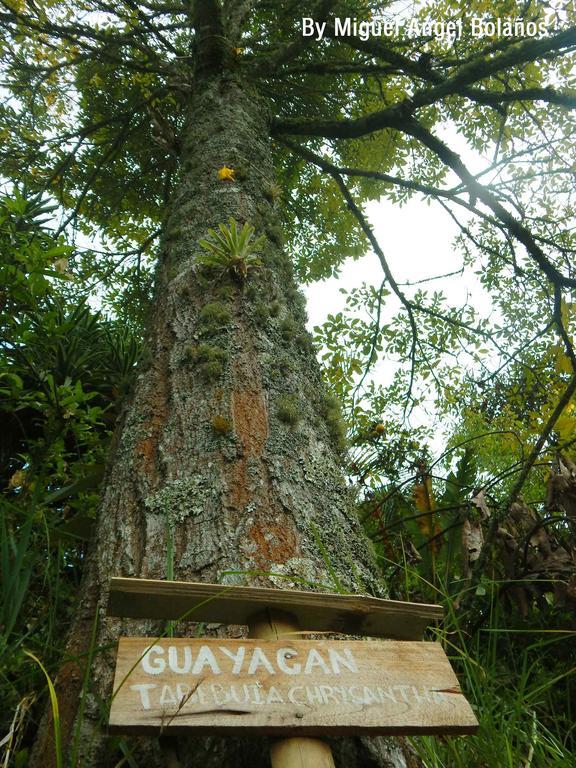 Eco Lodge La Juanita Manizales Bagian luar foto