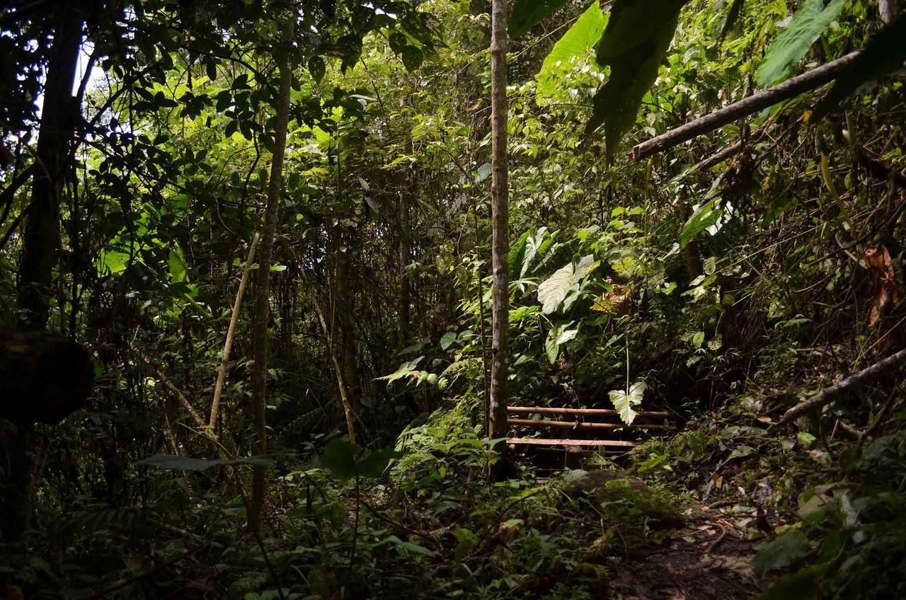 Eco Lodge La Juanita Manizales Bagian luar foto